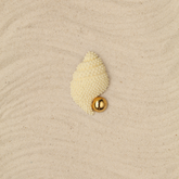 Broche Caracola Arena