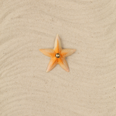 Broche Estrella naranja