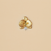Broche Orquídea Golden