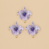 Set Cattleyas Mulata