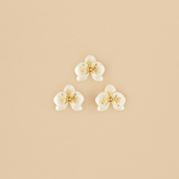 Set mini Orquídeas Blancas