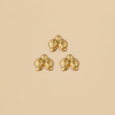 Set de Oreja mini Orquídeas Doradas
