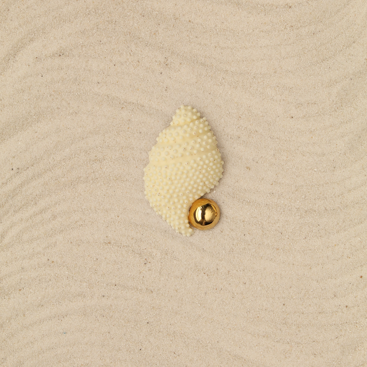 Broche Caracola Arena