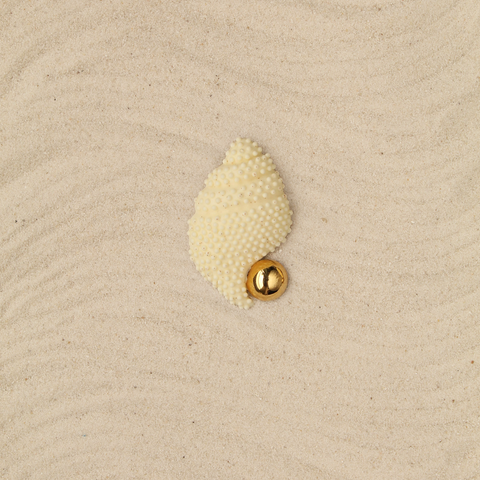 Broche Caracola Arena