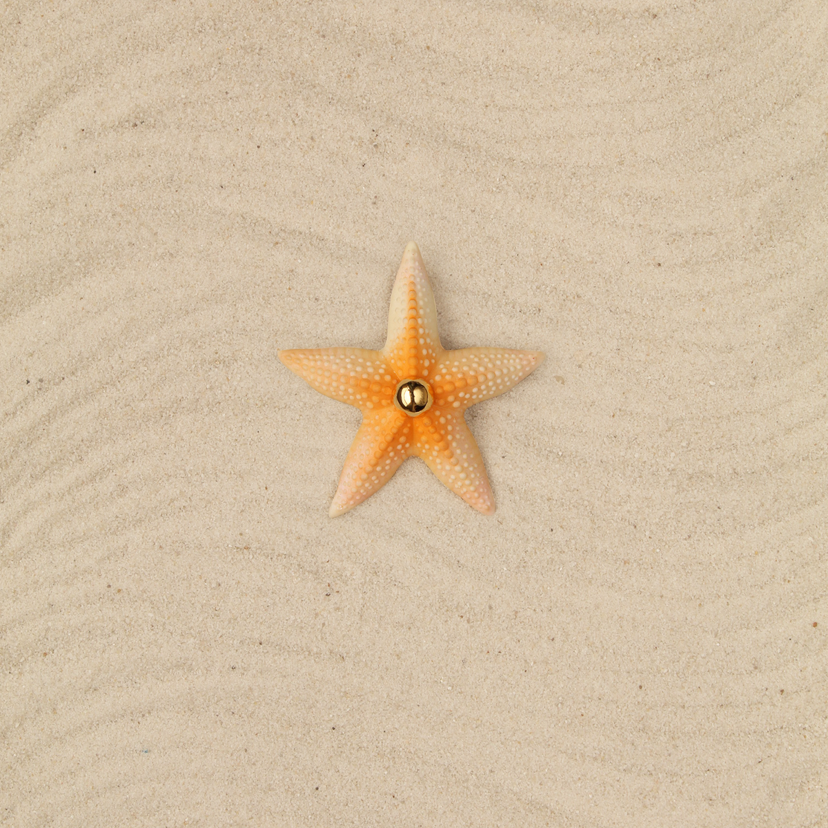 Broche Estrella naranja