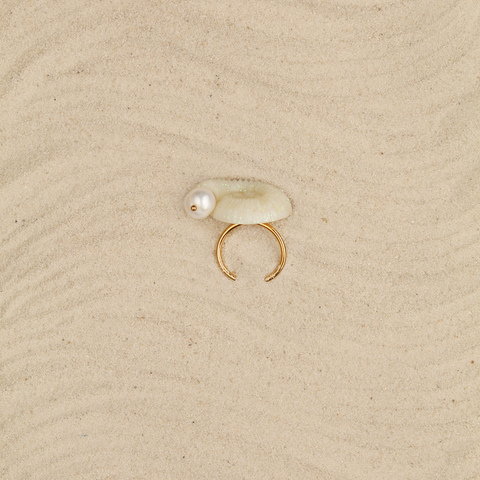 Anillo Amonita tornasol