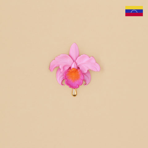 Broche Cattleya Rosa