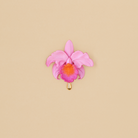 Broche Cattleya Rosa