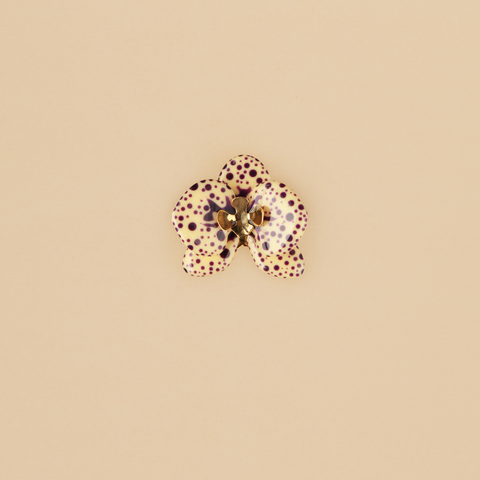 Anillo Orquídea Roble