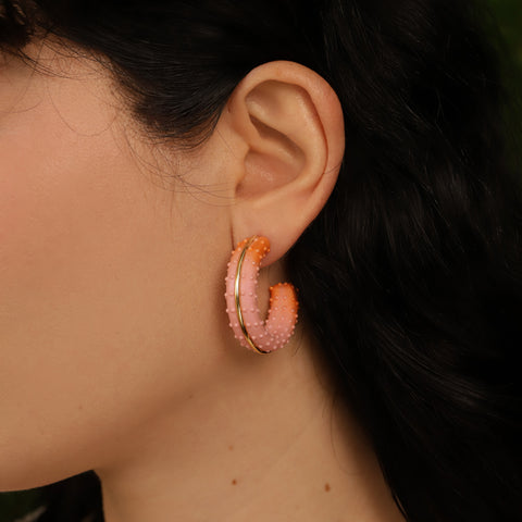 Argollas Anturios Rosa