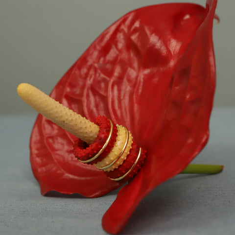 Earcuff Espádice Rojo